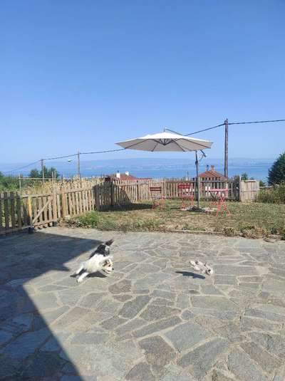 Zeige deinen Schatz mit seinem Lieblingsspielzeug.-Beitrag-Bild