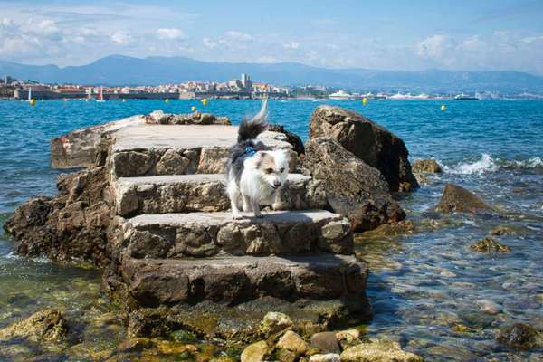 15. Kurzgeschichten-Challenge: Draussen, in der Natur-Beitrag-Bild