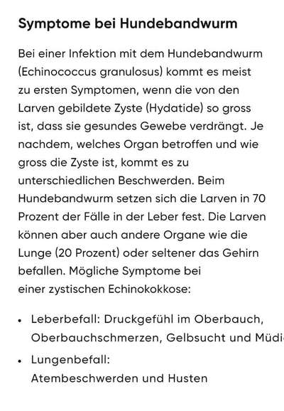 Wird zu selten entwurmt? Wurmbefall bei Hunden in Deutschland-Beitrag-Bild