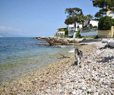 37. Collagen Challenge- Am Strand-Beitrag-Bild