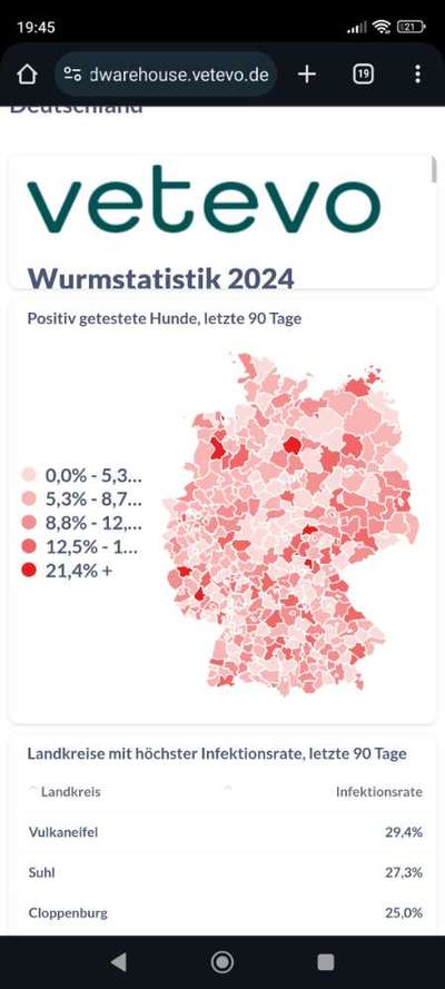 Wird zu selten entwurmt? Wurmbefall bei Hunden in Deutschland-Beitrag-Bild