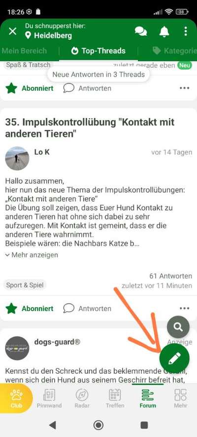 35. Impulskontrollübung "Kontakt mit anderen Tieren"-Beitrag-Bild