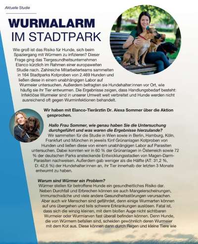 Wird zu selten entwurmt? Wurmbefall bei Hunden in Deutschland-Beitrag-Bild