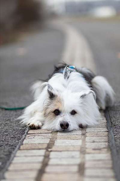 Austausch zur Fotografie-Beitrag-Bild