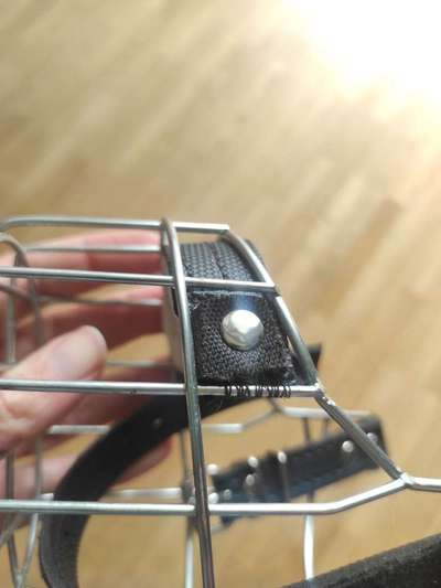 Wie sitzt mein Maulkorb / Maulkorb-Beratung-Beitrag-Bild