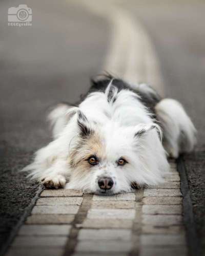 Austausch zur Fotografie-Beitrag-Bild