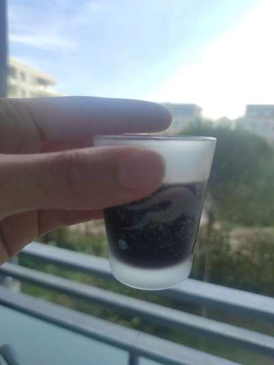 TierschutzhundeStammtisch🐕-Beitrag-Bild