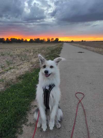 25. Handy Foto Challenge-Beitrag-Bild