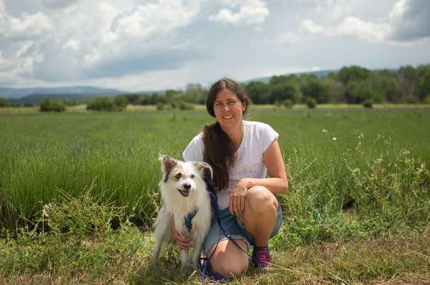 TierschutzhundeStammtisch🐕-Beitrag-Bild