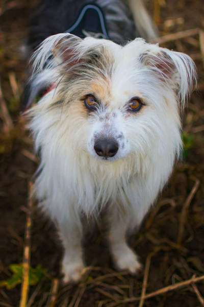 Doppelgänger gesucht !-Beitrag-Bild