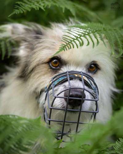 Zugfahrt - Welche Tasche oder Box-Beitrag-Bild