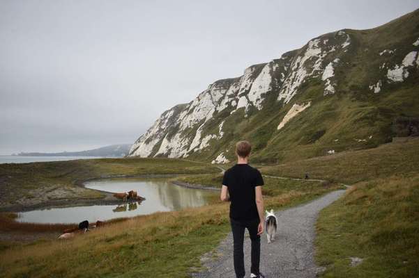TierschutzhundeStammtisch🐕-Beitrag-Bild