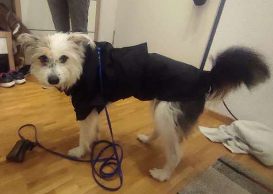 Upcycling - aus Alt mach Neu-Beitrag-Bild