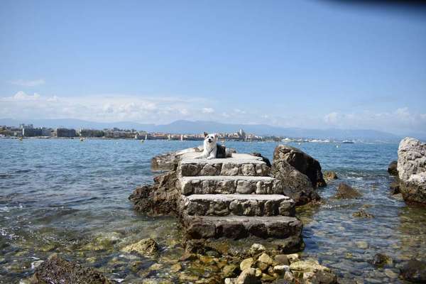 37. Collagen Challenge- Am Strand-Beitrag-Bild