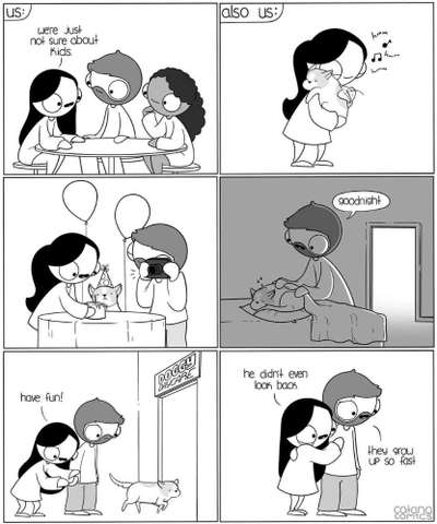 Hunde Memes-Beitrag-Bild