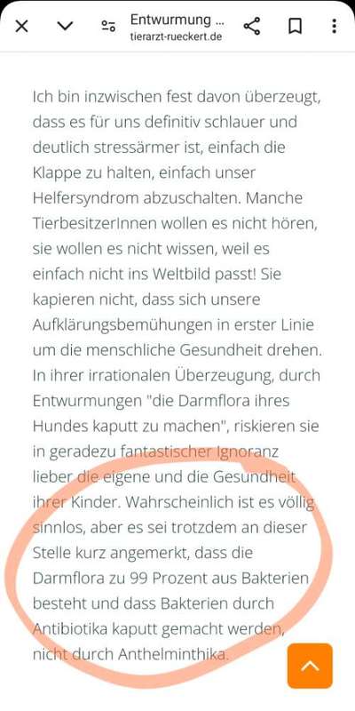 Wird zu selten entwurmt? Wurmbefall bei Hunden in Deutschland-Beitrag-Bild