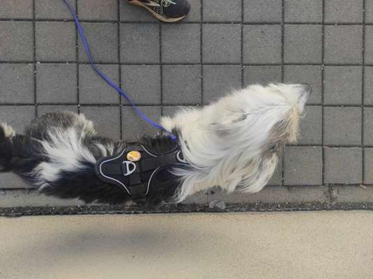 Der Gewichts-Thread-Beitrag-Bild