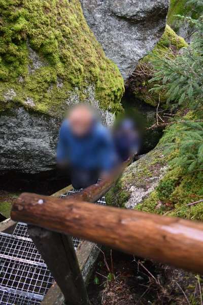 TierschutzhundeStammtisch🐕-Beitrag-Bild