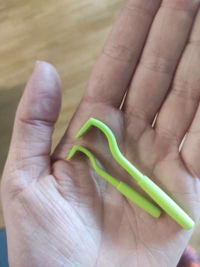 Zecken richtig entfernen-Beitrag-Bild