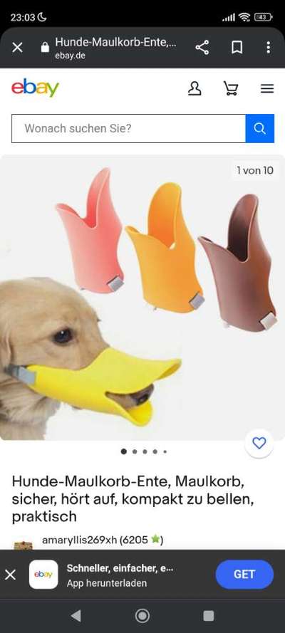 Wir müssen über tierschutzwidriges Hundezubehör reden!-Beitrag-Bild