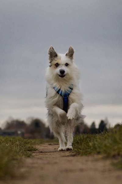 Austausch zur Fotografie-Beitrag-Bild