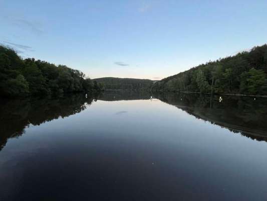 TierschutzhundeStammtisch🐕-Beitrag-Bild