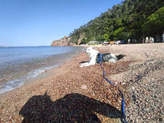 37. Collagen Challenge- Am Strand-Beitrag-Bild