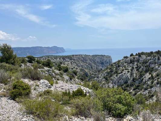 TierschutzhundeStammtisch🐕-Beitrag-Bild