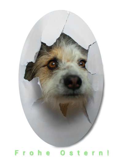 Freundschaftsanfragen-Beitrag-Bild