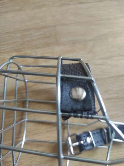 Wie sitzt mein Maulkorb / Maulkorb-Beratung-Beitrag-Bild