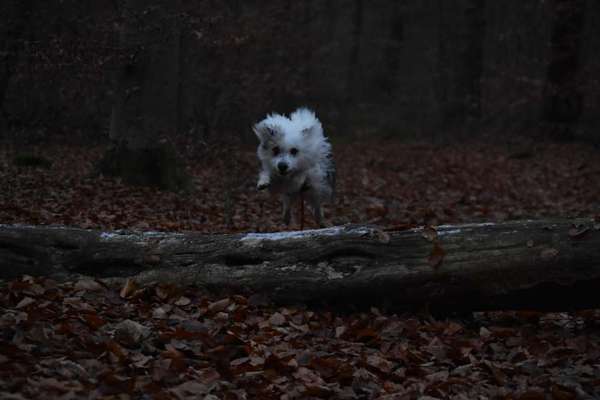 Photoshop und Co.-Beitrag-Bild