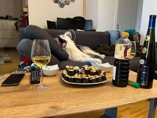 34. Collagen Challenge: "Crazy dogs"-Beitrag-Bild