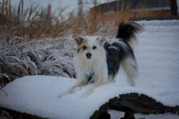 Ist das ein...?-Beitrag-Bild