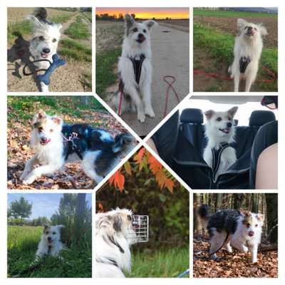 18. Collagen Challenge - Zunge raus!-Beitrag-Bild