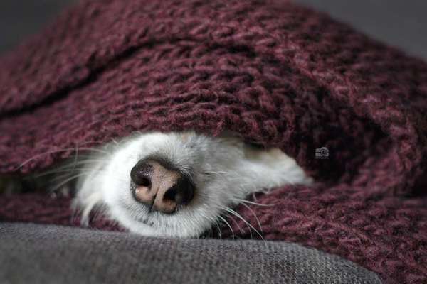 Austausch zur Fotografie-Beitrag-Bild