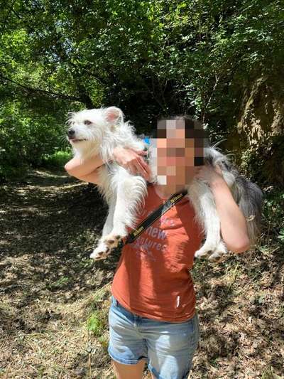 TierschutzhundeStammtisch🐕-Beitrag-Bild