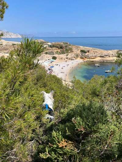 Zeigt eure schönsten Sommerbilder-Beitrag-Bild