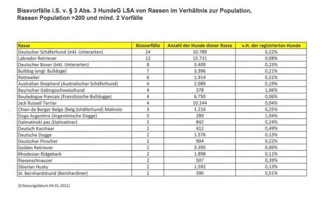 hunderasse-Beitrag-Bild