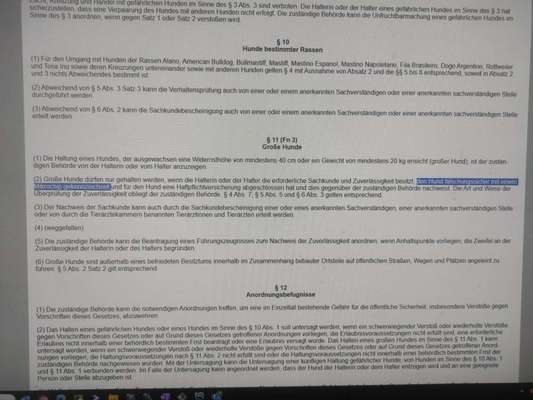 LEINENPFLICHT AM RHEIN-Beitrag-Bild