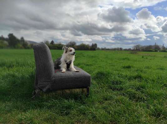 Freundschaftsanfragen-Beitrag-Bild