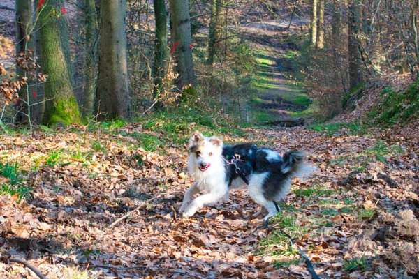 Foto Challenge Nr. 79-Beitrag-Bild