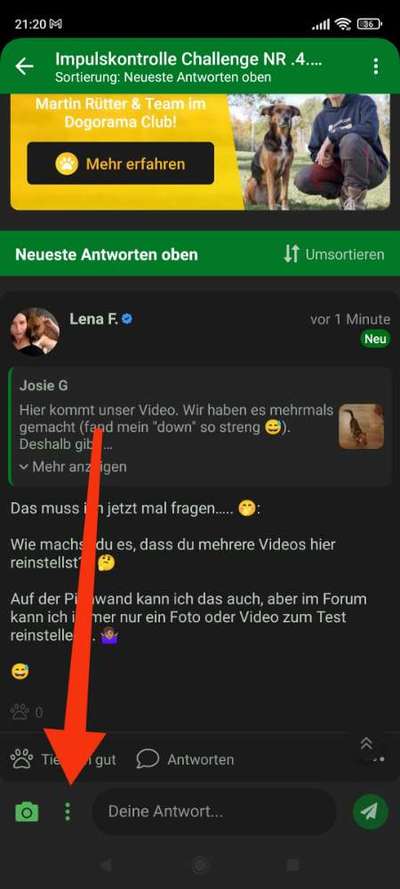 Impulskontrolle Challenge NR .4.           STOP/STEH/ WARTE-Beitrag-Bild