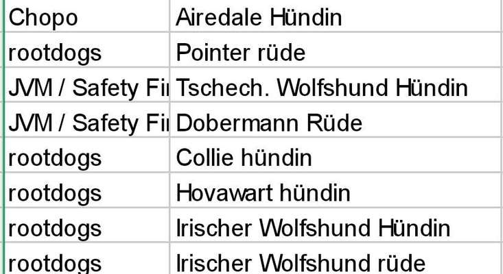 Wie sitzt mein Maulkorb / Maulkorb-Beratung-Beitrag-Bild