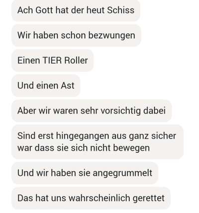 TierschutzhundeStammtisch🐕-Beitrag-Bild