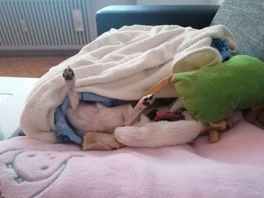 LUSTIGE FOTOS! WER KANN MITHALTEN?-Beitrag-Bild