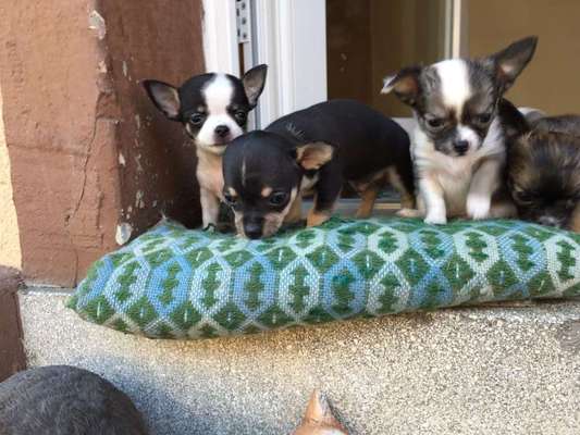 Lieblingsbild :D-Beitrag-Bild