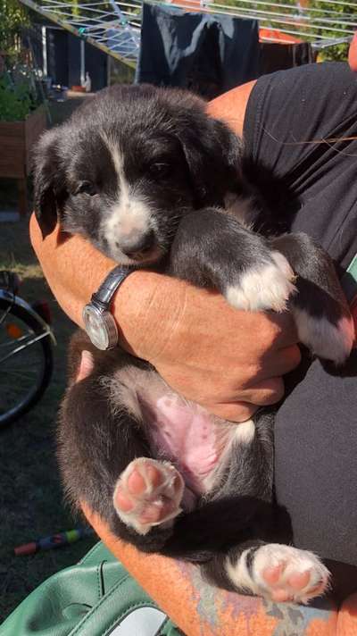 Erstes Bild-Beitrag-Bild