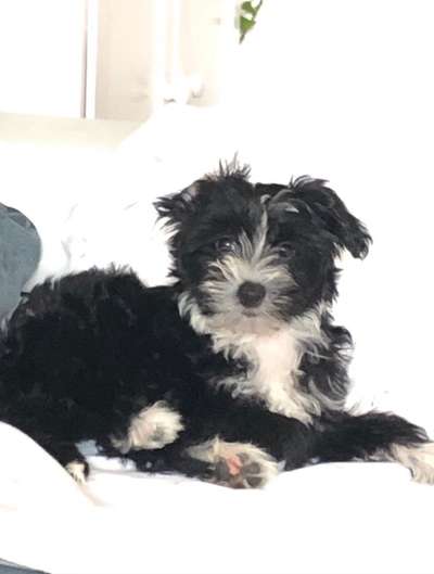 Erstes Bild-Beitrag-Bild