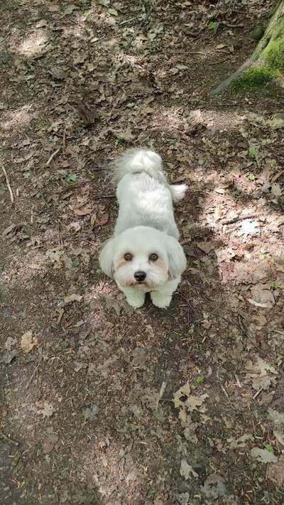 12. Farben Foto Challenge --- Braun-Beitrag-Bild