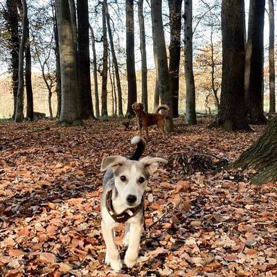 Lieblingsbild-Beitrag-Bild